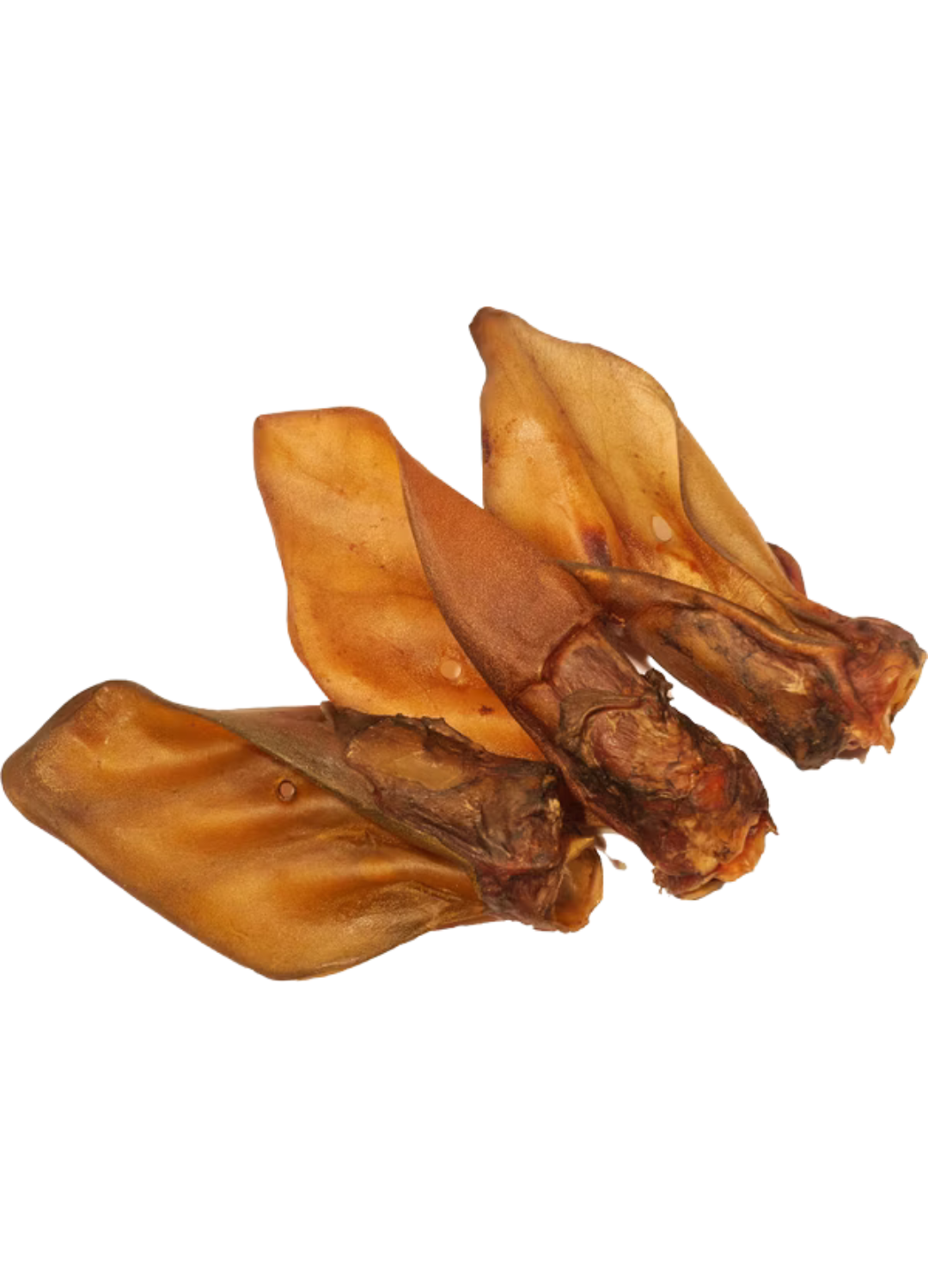 Rinder-Ohr L/XL 5/10 Stk.